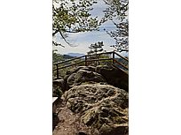 Aussicht vom Palmfelsen über die Rheinebene bis auf die französischen Vogesen (Foto: Monika Wendlandt)