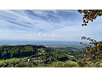 Aussicht vom Bürstenstein über die Rheinebene bis auf die französischen Vogesen (Foto: Monika Wendlandt)