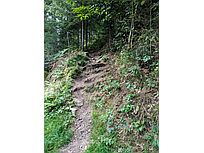 Felsenweg, steiler Aufstieg (Foto: Monika Wendlandt)