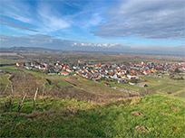 Blick nach Leiselheim (Foto: Monika Wendlandt)
