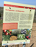 Texttafel „Das Eggenertal - ein Obstparadies“ (Foto: Hella Brückel)