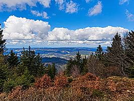 Blick ins Simonswäldertal (Foto: Monika Wendlandt)