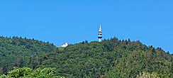 Hochblauen (1.165m) mit 96,5m hohen Fernmeldeturm (Foto: Hella Brückel)