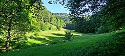 idyllisches Tal mit allerlei Grüntönen (Foto: Hella Brückel)