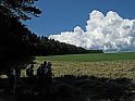 Gruppe, Waldrand, Wolken