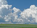 Wolken, Bäume am Horizont