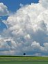 Wolken, Baum am Horizont