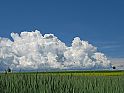 Wolken, Bäume am Horizont