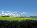 gelber Raps-Acker,  Bauernhof, Wolken