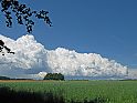 Wolken, Gebuesch am Horizont